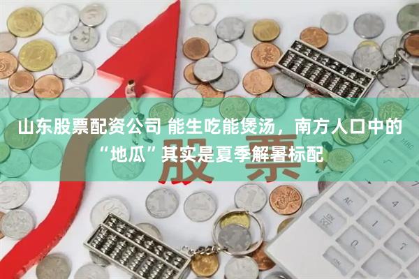 山东股票配资公司 能生吃能煲汤，南方人口中的“地瓜”其实是夏季解暑标配