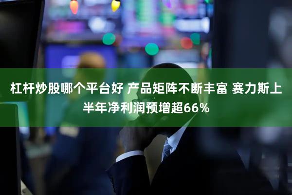 杠杆炒股哪个平台好 产品矩阵不断丰富 赛力斯上半年净利润预增超66%