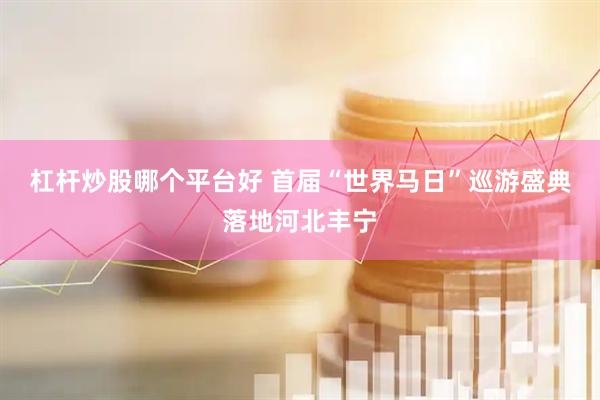 杠杆炒股哪个平台好 首届“世界马日”巡游盛典落地河北丰宁
