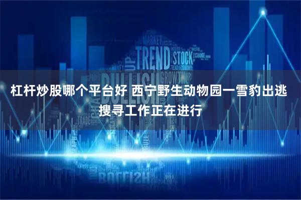 杠杆炒股哪个平台好 西宁野生动物园一雪豹出逃 搜寻工作正在进行