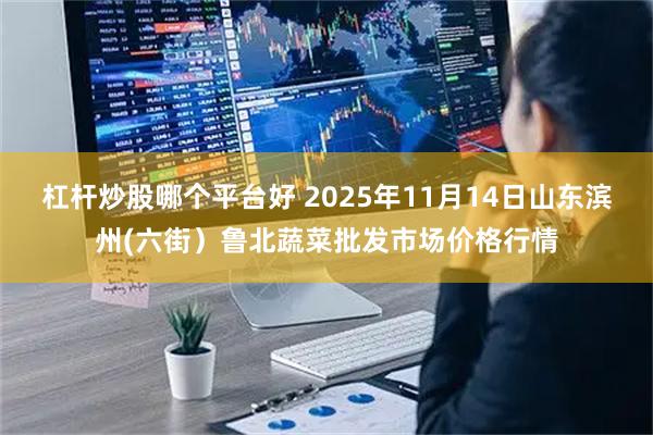 杠杆炒股哪个平台好 2025年11月14日山东滨州(六街)鲁北蔬菜批发市场价格行情